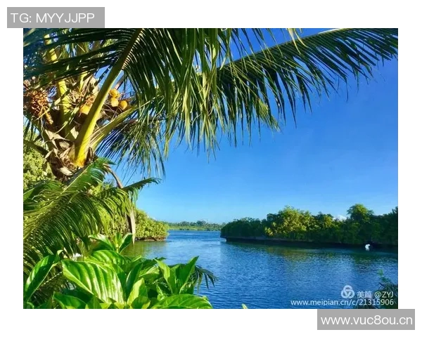 探索马纳多的魅力之旅:潜水美食与自然风光的完美结合